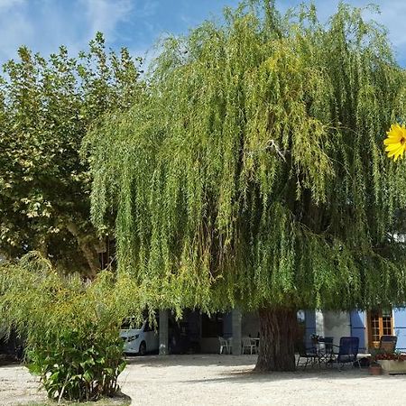 Dreams Of Provence Guest House Courthezon Bagian luar foto