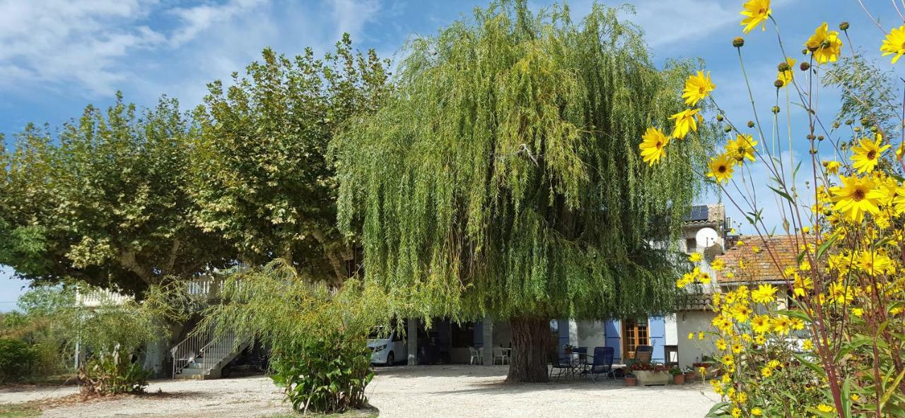 Dreams Of Provence Guest House Courthezon Bagian luar foto
